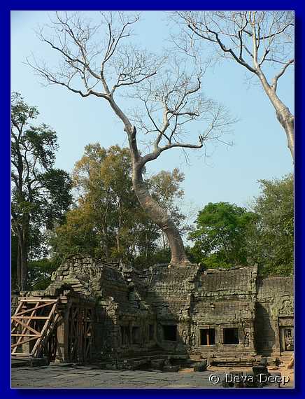 5258 Angkor Ta Prom