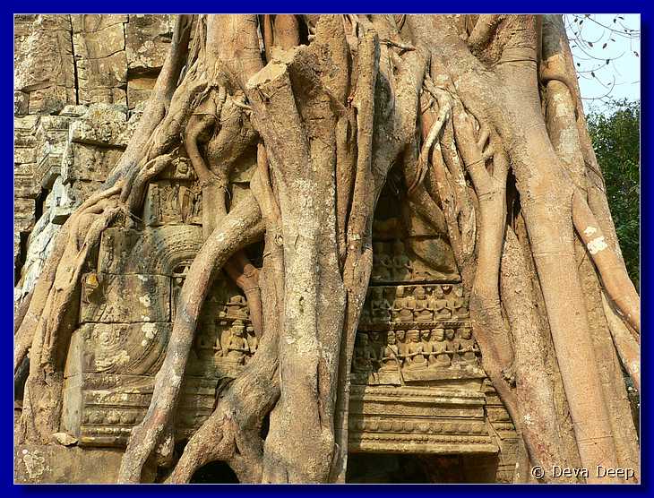 5330 Angkor Ta Som