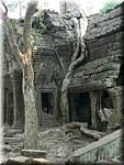 5239 Angkor Ta Prom.jpg