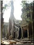 5274 Angkor Ta Prom.jpg