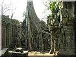 5280 Angkor Ta Prom.jpg