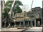 5349 Angkor Preah Khan.JPG