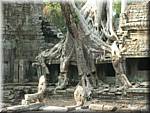 5350 Angkor Preah Khan.JPG