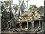 5353 Angkor Preah Khan.JPG