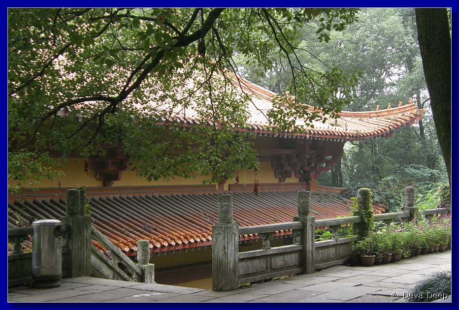 20071009 1236-52 DD 3144 Leshan Great Buddha Temple park above