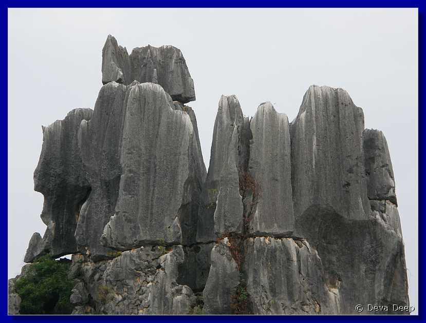 20071018 1720-32 DD 4451 Shilin Stone forest