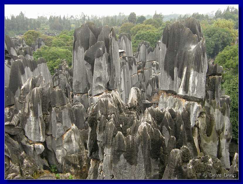 20071019 1004-34 DD 4524 Shilin Stone forest