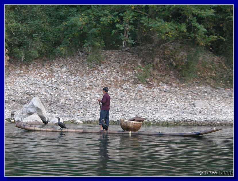20071020 1759-08 DD 4767 Yangshuo Li river Xing Ping Karst mountains - cormorants