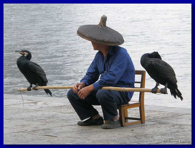 20071022 1625-46 DD 5175 Yangshuo cormorants-if