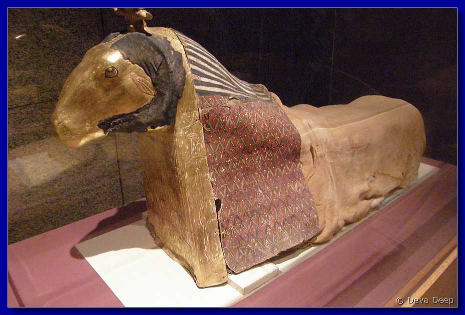 A80 Aswan Nubian museum sarcophages