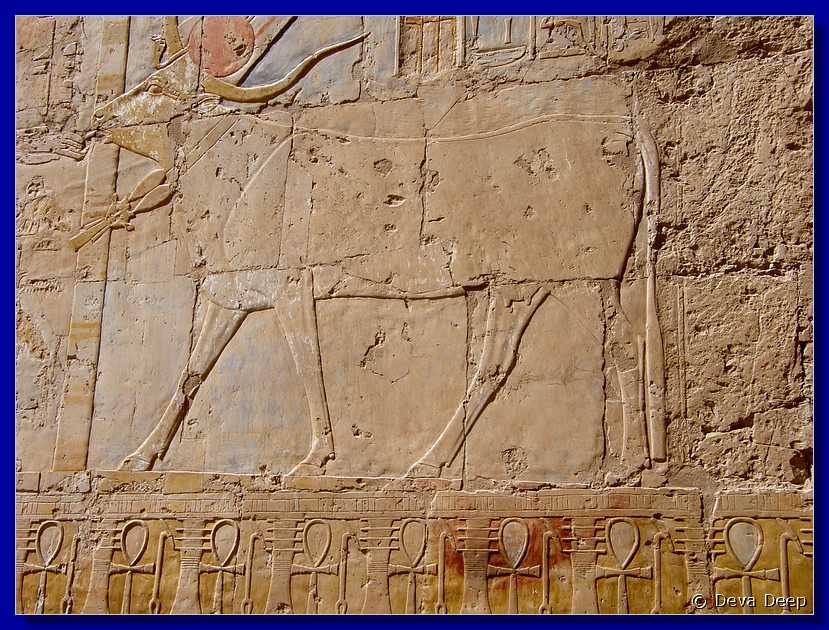 L37 Luxor Temple of Hatsjepsoet