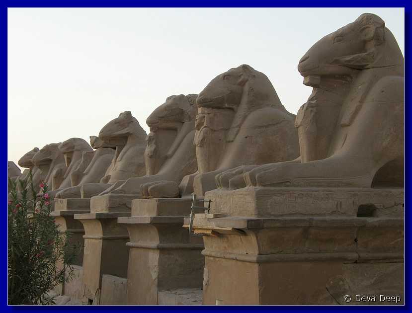 L42 Luxor Karnak Temple