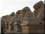L42 Luxor Karnak Temple.jpg