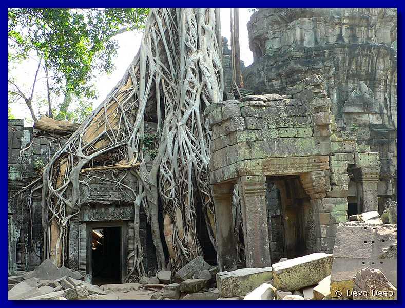 Cambodia Angkor Ta Prom-iC-17