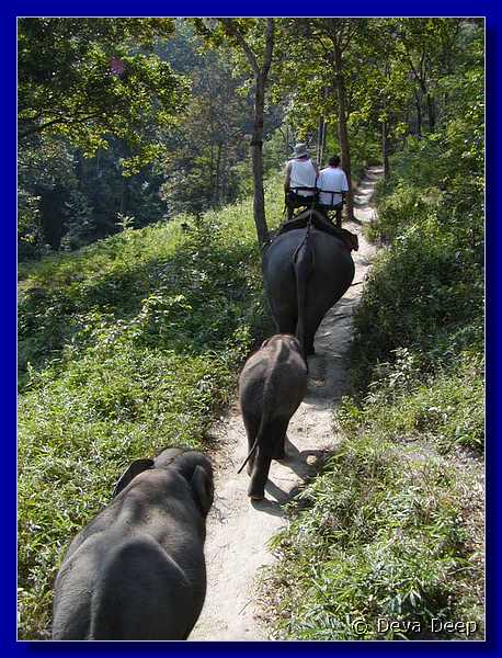 Thailand Sampatong elephant ride 0953-12