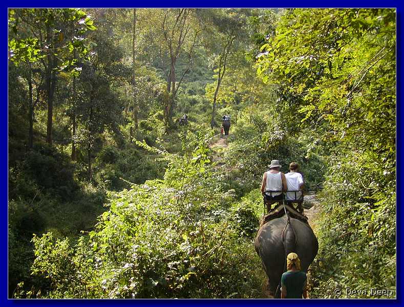 Thailand Sampatong elephant ride 1001-16
