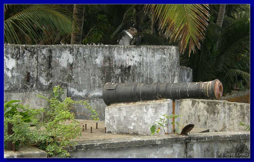 F40 Fort Cochin Old canon