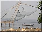 F24 Fort Cochin Chinese fishing nets - fishing.JPG