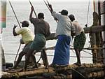 F34 Fort Cochin Chinese fishing nets - fishing.JPG
