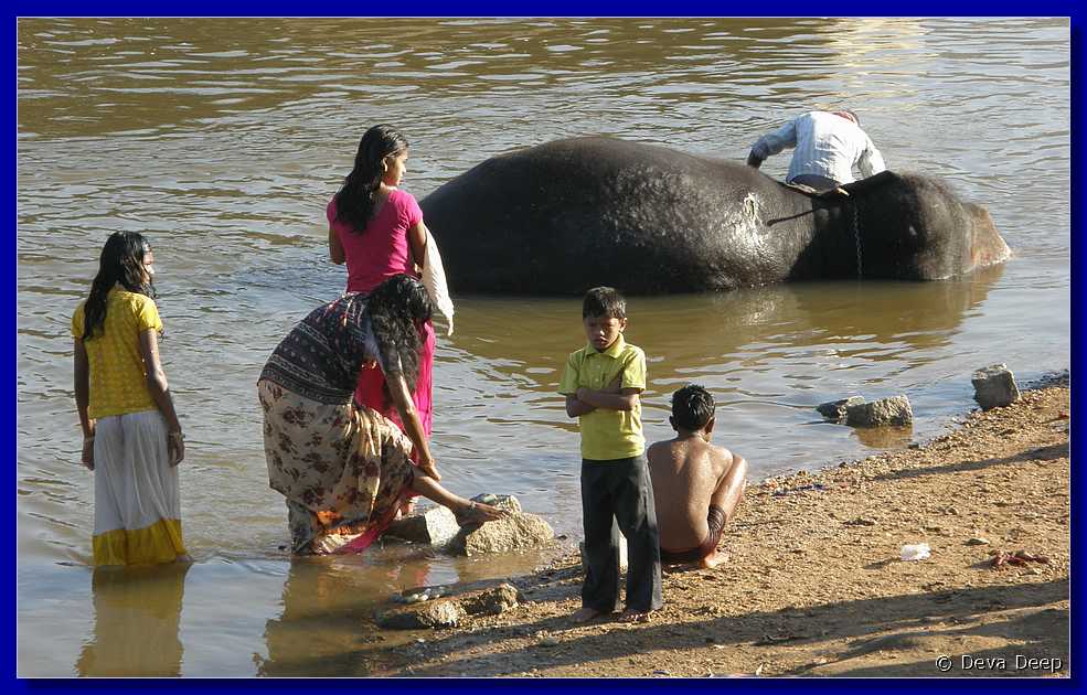 H084 Hampi River crossing bathing Temple elephant 203