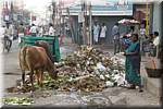 R03 Madurai Streets with garbage.JPG