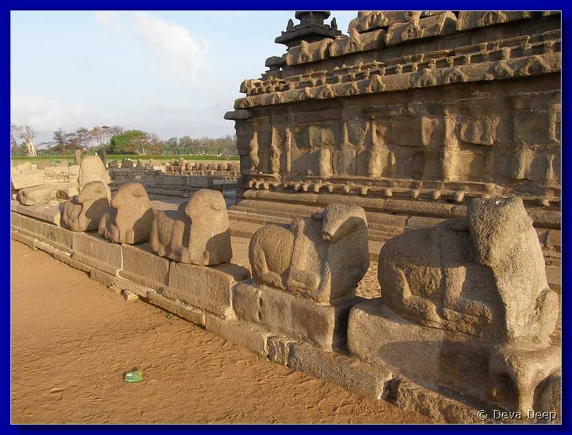A16 Mahabalipuram Shore temple 