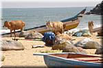 A07 Mahabalipuram Beach - fishing boats - people .JPG