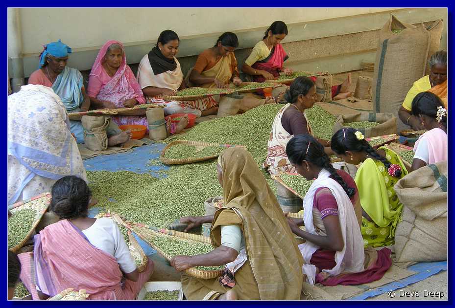 K48 Kumily Women working with spices