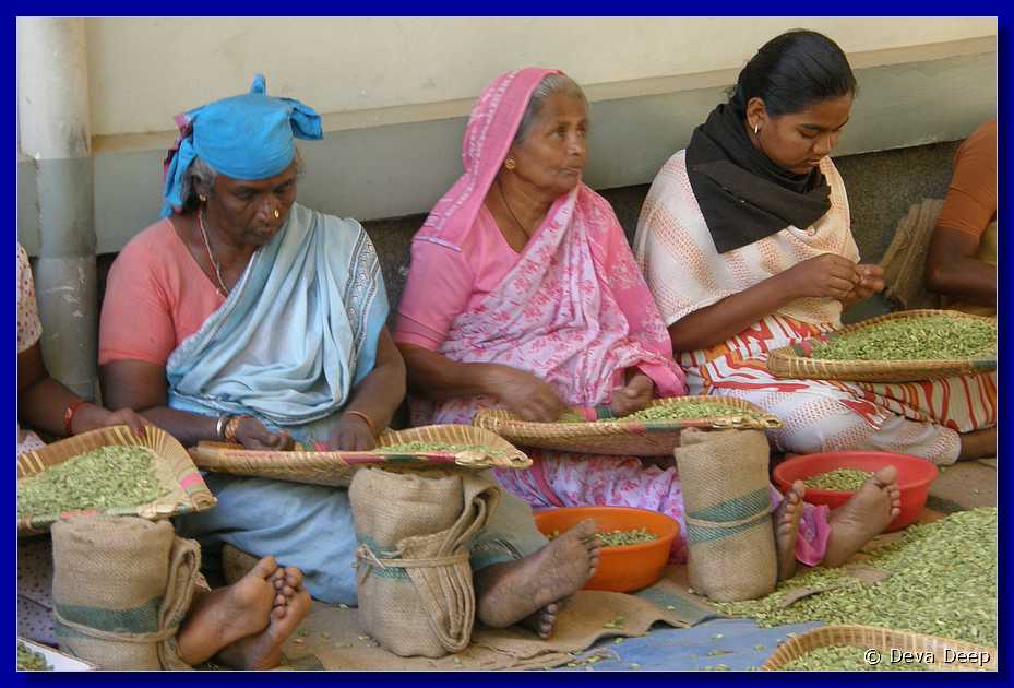 K49 Kumily Women working with spices