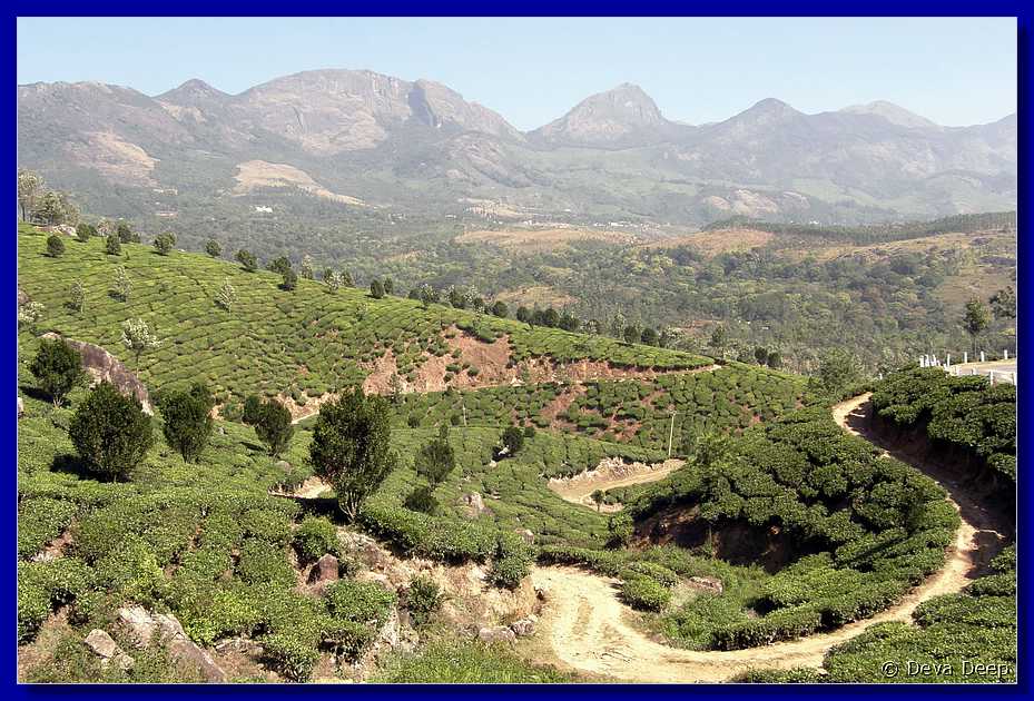 K66 To Munnar Landscapes - Mountains - Teaplantages