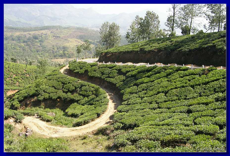 K69 To Munnar Landscapes - Mountains - Teaplantages