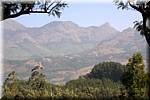 K55 To Munnar Landscapes - Mountains - Teaplantages.jpg