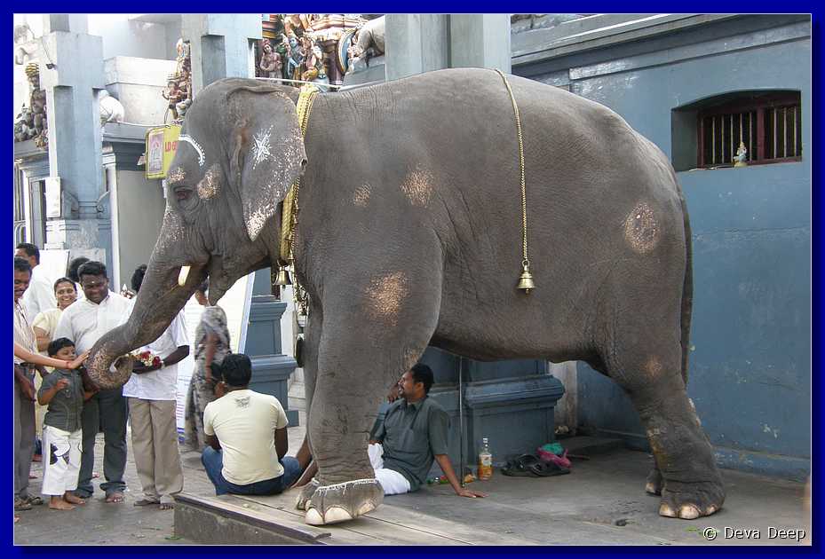 P13 Pondicherry Sri Manakula Vinayagar temple