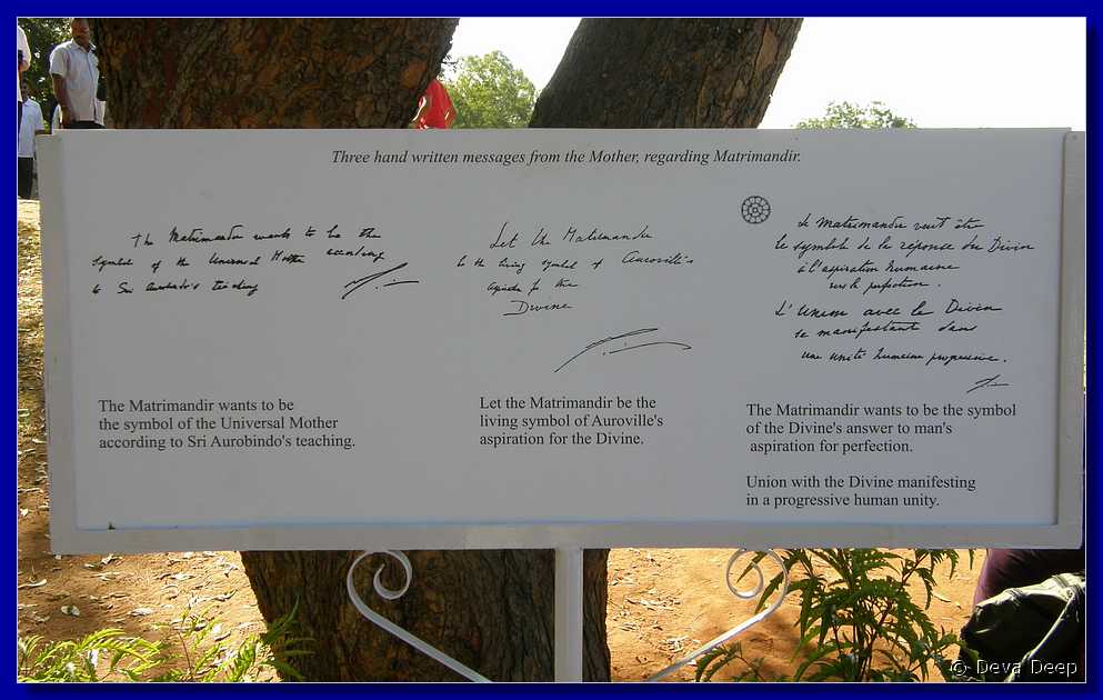 P26 Auroville Matrimandir - Banyan tree