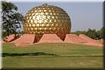 P25 Auroville Matrimandir - Banyan tree.JPG