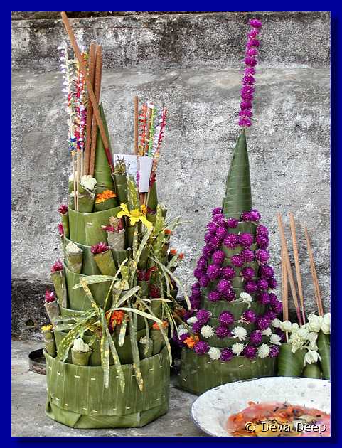 Luang Prabang Wat Mahatat Flowers 102