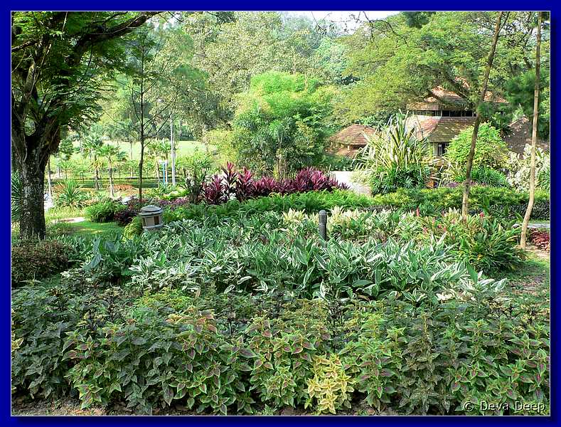 07790 20060129 1024-06 Kuala Lumpur Lake Gardens-Bird park-spf
