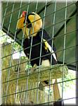 07793 20060129 1102-54 Kuala Lumpur Lake Gardens-Bird park-ay.jpg