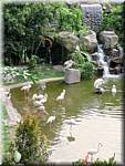 07800 20060129 1139-34 Kuala Lumpur Lake Gardens-Bird park-spf.jpg