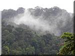 PA40 Pangkor Jungle fog.jpg