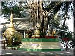 4643 Yangon Kandawgi Lake.jpg