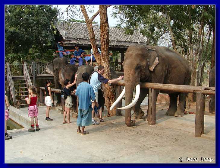 Kanchanaburi 20030212 094328 Elephant riding