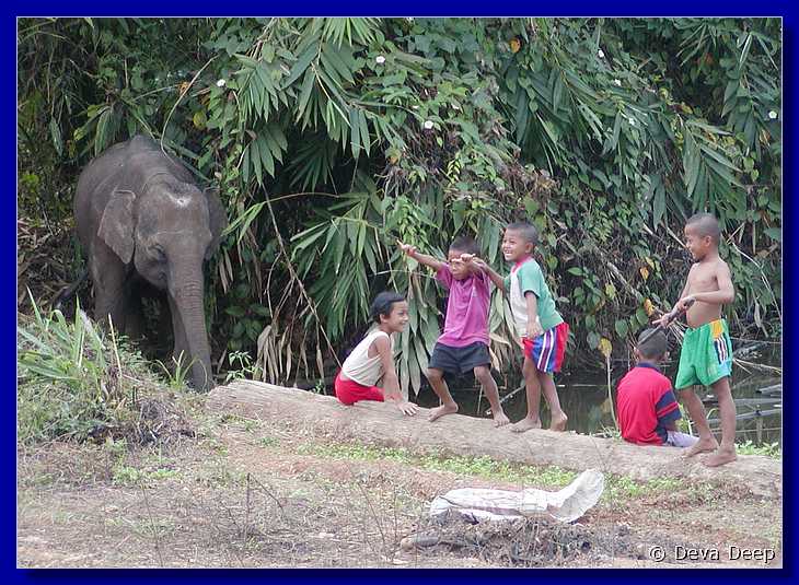 Sangkhlaburi 20030214 132732 baby elephant-s