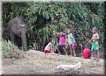 Sangkhlaburi 20030214 132732 baby elephant-s.jpg