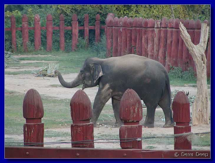 Ayuthaya Elephant Kraal 20030106 172942