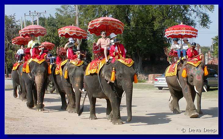 Ayuthaya Elephants 20030107 105320