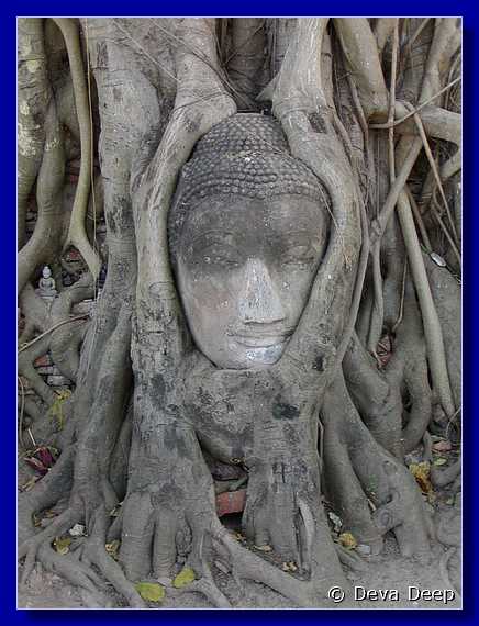 Ayuthaya Phra Mahathat 20011126 1243