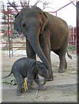 Ayuthaya Elephant Kraal 20030118 1741.JPG