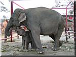 Ayuthaya Elephant Kraal 20030118 1745.JPG