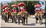 Ayuthaya Elephants 20030107 105320.jpg